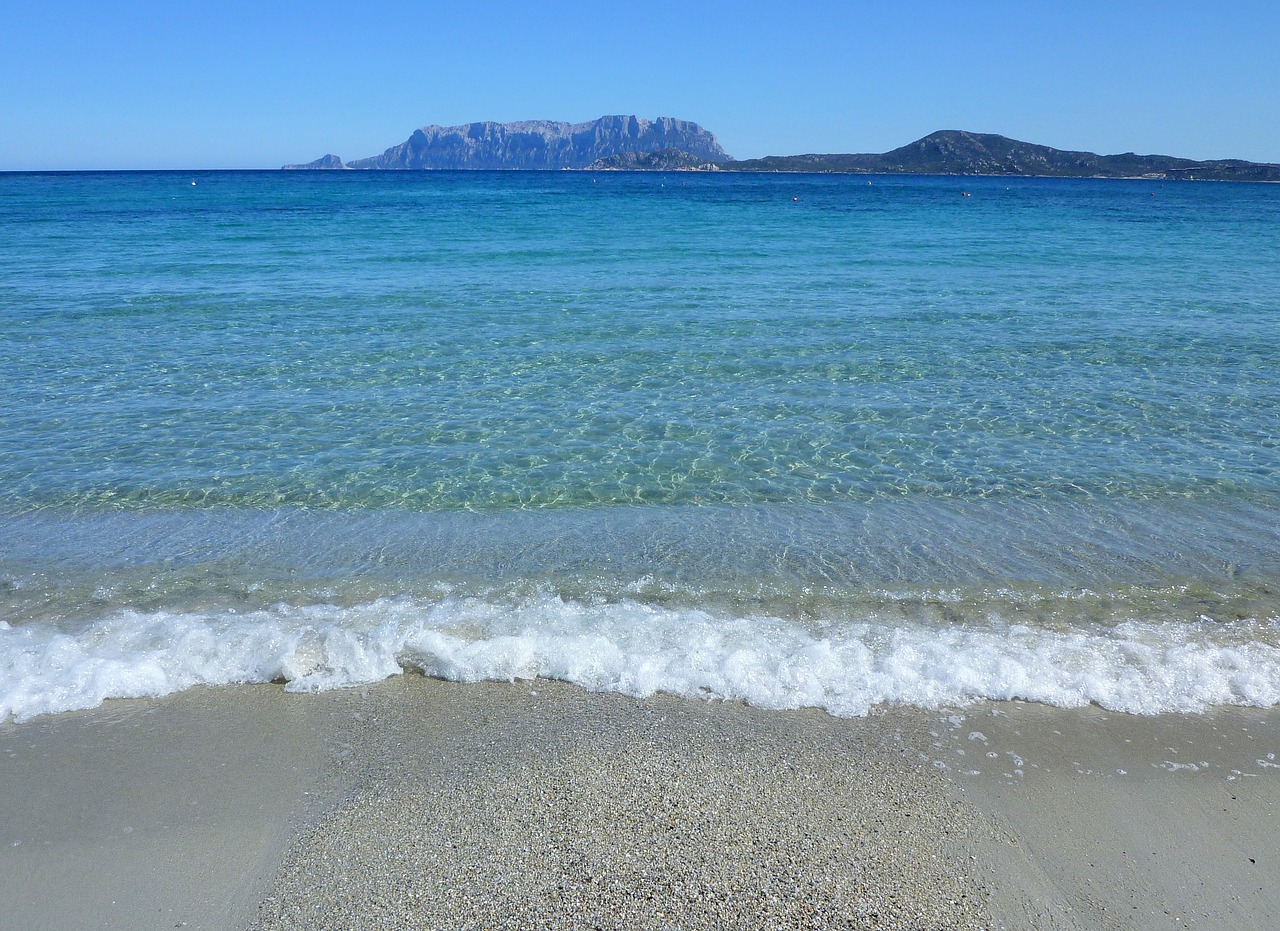 mare